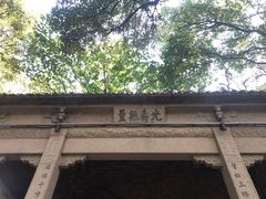 -灵岩山风景区