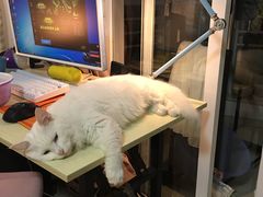 -宠颐生中康贝怡动物医院