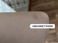 -柯斗斗主题餐厅·狗咖·围炉煮茶·茶饮(国瑞升平里店)