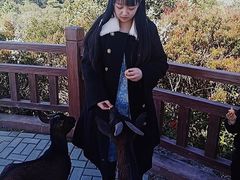 -大姆山草场