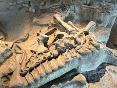 -自贡恐龙博物馆