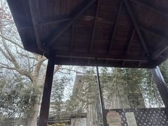 -春晖园度假酒店温泉