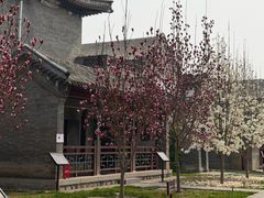 -莲池书院博物馆
