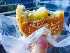 -欧佩拉(段家坝店)