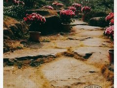 -秀丽东方