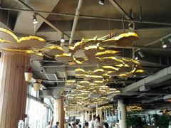 android_upload_pic-Paulaner·德国帕拉娜自酿啤酒餐厅(海上世界店)