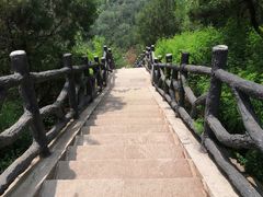 -磬锤峰森林公园