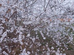 -汉长安城未央宫国家考古遗址公园