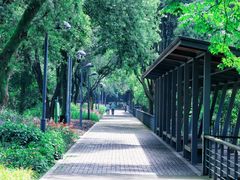 -西湖风景区-江洋畈生态公园
