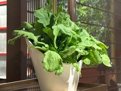 -牛村来人潮汕牛肉火锅(西单店)