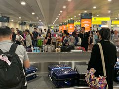 -谢列梅捷沃国际机场