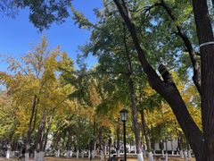 -山东大学(趵突泉校区)