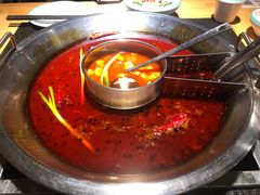 番茄鸳鸯锅-味当家鱼头火锅.•甲鱼料理(金沙店)