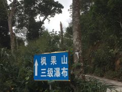 -海南热带雨林国家公园吊罗山景区