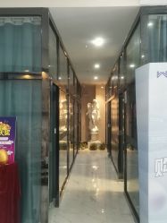-南宁维密整形·王敦华眼鼻整复中心