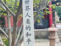 -石岛赤山风景区