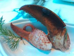 -亚特兰蒂斯•OSSIANO奥西亚诺海底餐厅