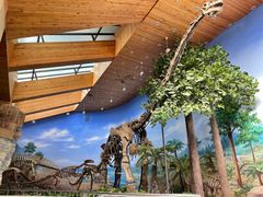 -延庆地质公园博物馆