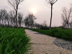 -天津东丽湖风景区