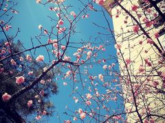 -星巴克臻选(济南万达店)