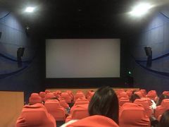 -天幕新彩云国际影城(激光巨幕店)