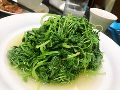 -蝶园·装修中(BFC外滩金融中心店)