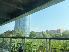 -3W咖啡(国家软件园店)