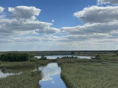-盐城丹顶鹤湿地生态旅游区