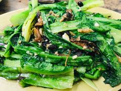 炒油麦菜-贞姨美食·老字号海鲜大排档