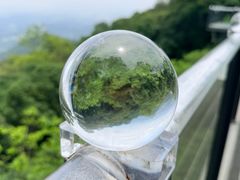 -黄埔油麻山森林公园