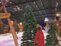 -宁波冰雪大世界(北仑区)