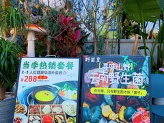 -野菌皇海景野生菌火锅(滨海大道店)