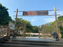 -大澳