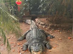 -西霞口神雕山野生动物世界