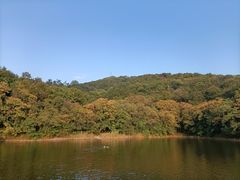 -紫金山天文台
