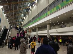 -南京奥林匹克体育中心-体育馆