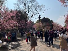 -昆明动物园