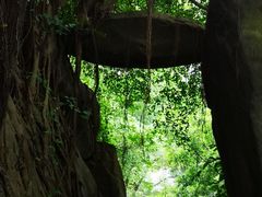 -乌山风景区