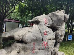 -重庆彩云湖湿地公园