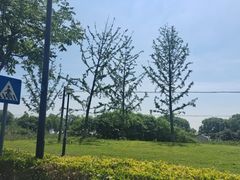 -阳澄湖半岛旅游度假区