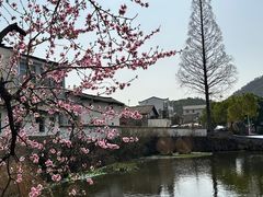 -武汉姚家山旅游景区