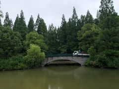 -东平国家森林公园