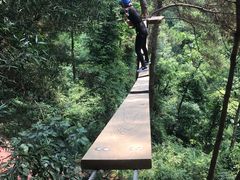-芦仙山景区-飞越丛林探险乐园