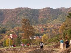 -塔川景区