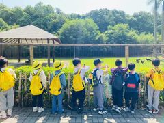 -杨梅红艺术教育(水贝教学中心)
