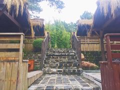 -崇阳三特浪口温泉