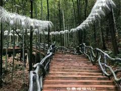 -石燕湖生态旅游景区