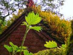 -终南山南五台景区