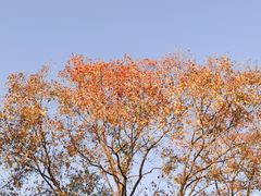 -白塘生态植物园