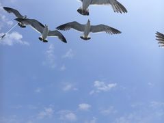 -海驴岛(荣成市)